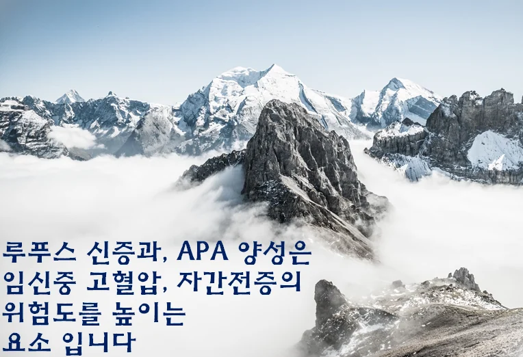 임신 결과 분석