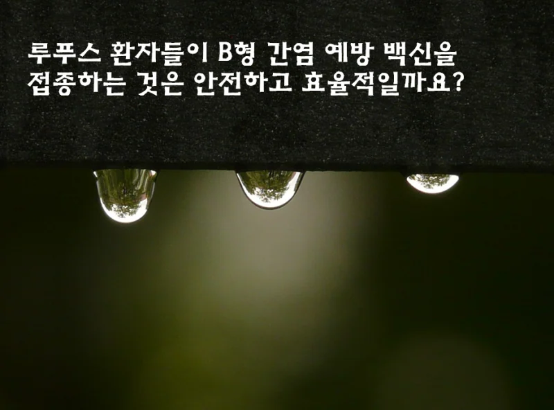 루푸스 백신 접종 관련 연구