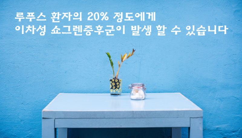 루푸스 환자의 안구건조증과 구강건조증 — 이차성 쇼그렌증후군의 위험 신호