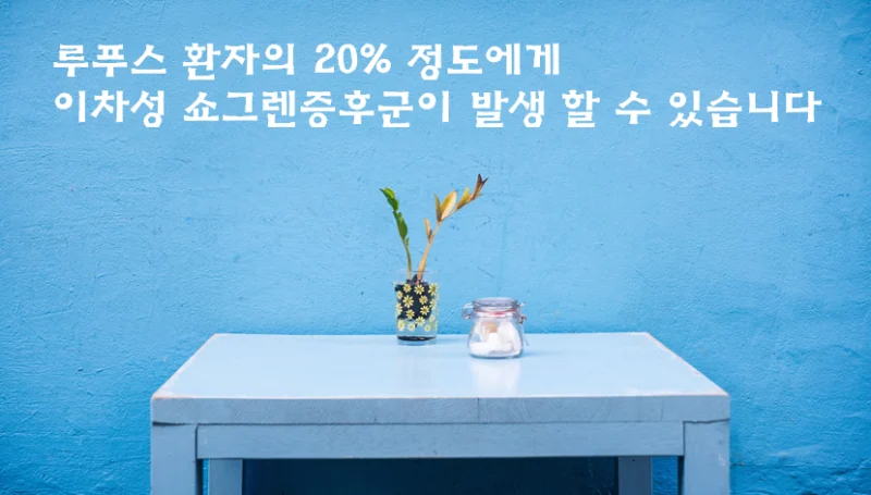루푸스 환자의 안구건조증과 구강건조증 — 이차성 쇼그렌증후군의 위험 신호