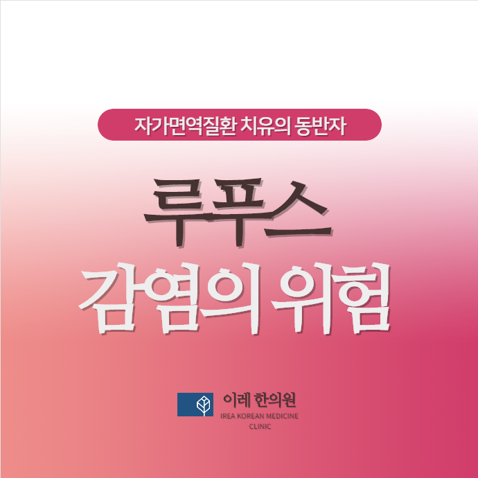 루푸스 환자는 왜 감염에 취약할까요? 원인과 주요 감염균 정리
