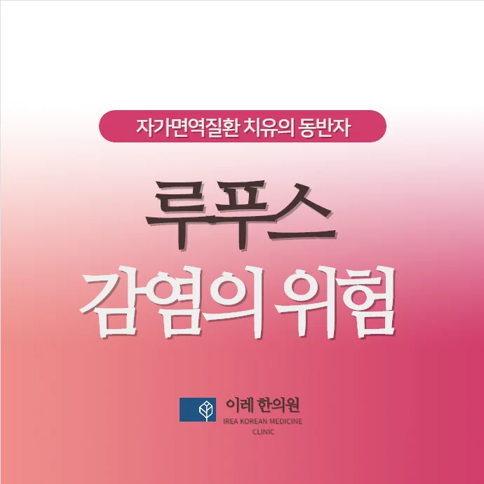 루푸스 환자는 왜 감염에 취약할까요? 원인과 주요 감염균 정리