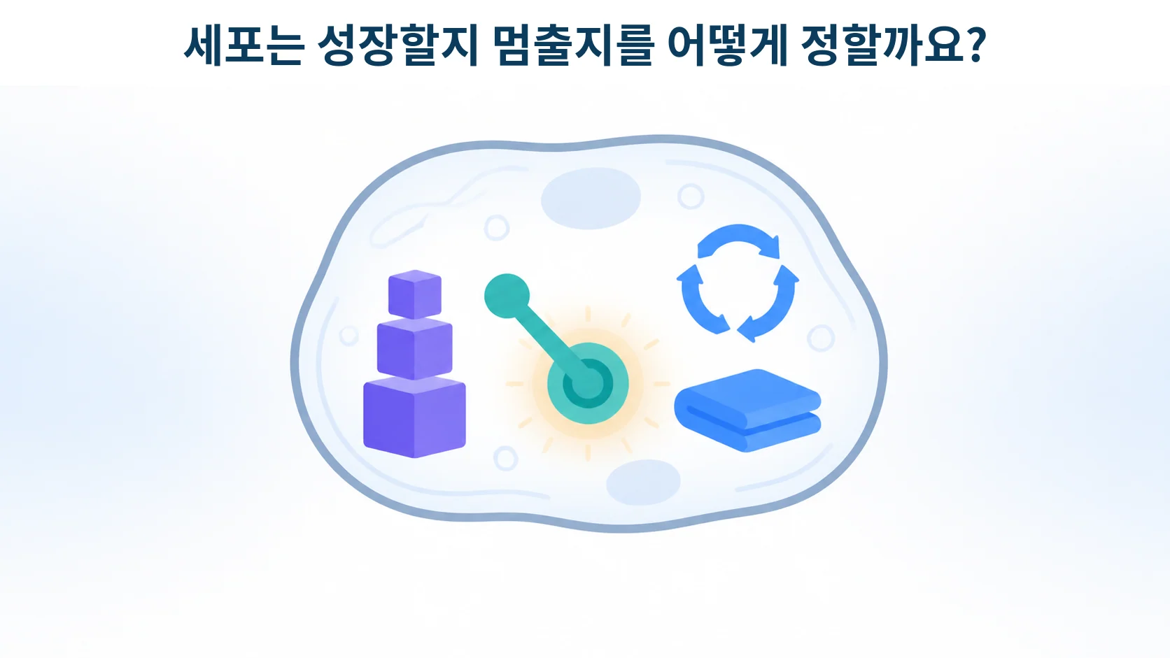 mTOR, 세포의 성장 스위치가 노화와 종양과 면역을 함께 흔들 때