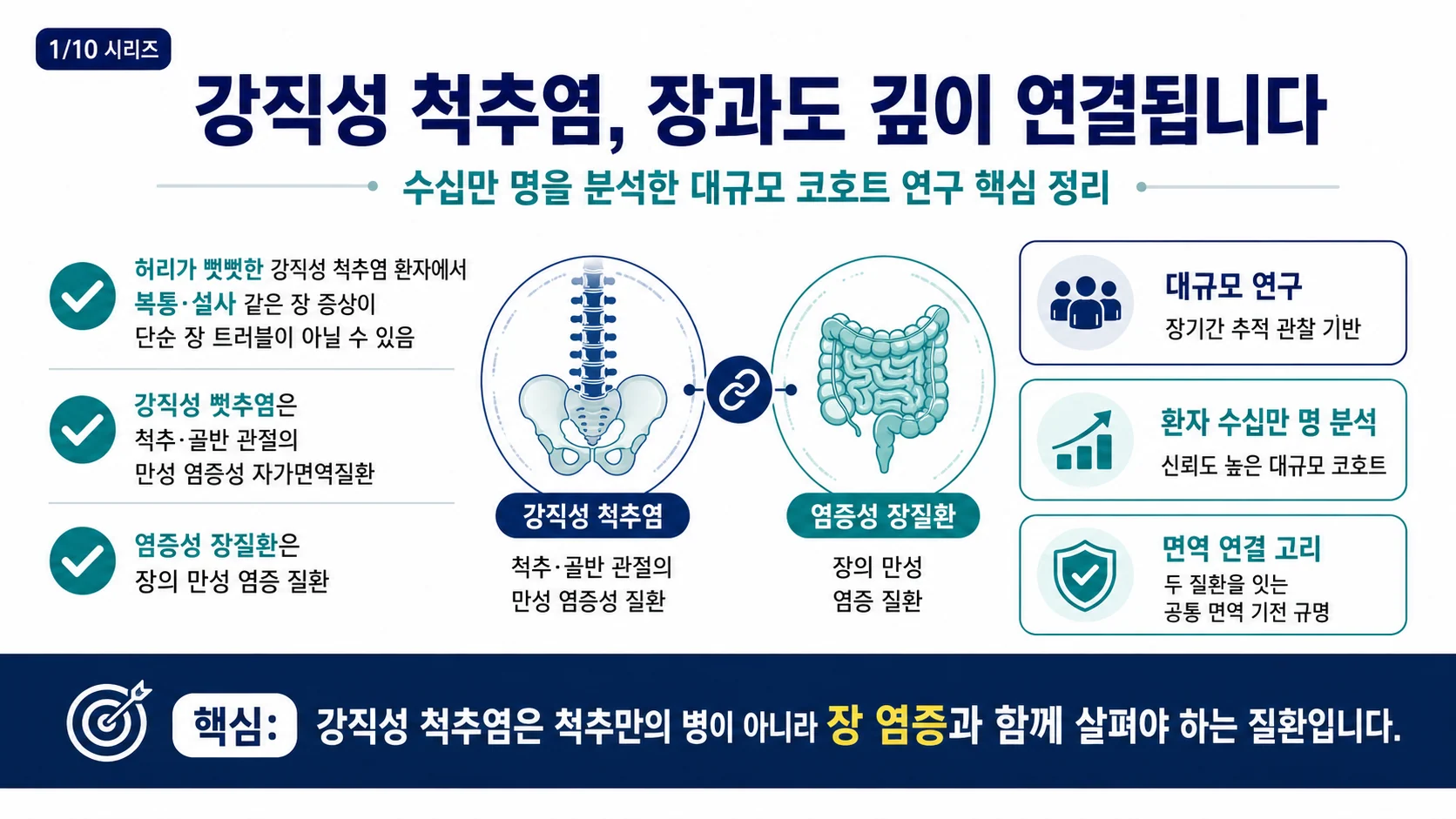 강직성 척추염, 장과도 깊이 연결됩니다 — 핵심 요약