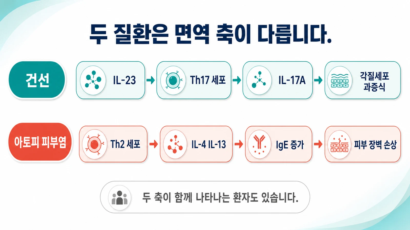 면역 축 비교 — IL-23 Th17 축과 Th2 축