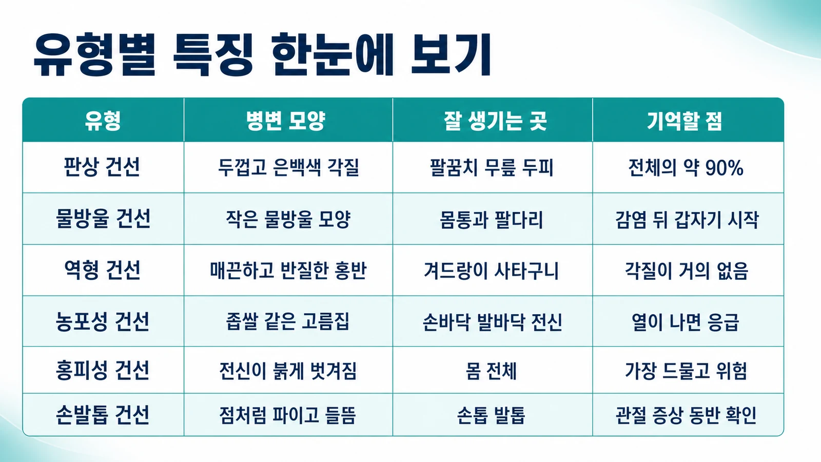 유형별 특징 비교표