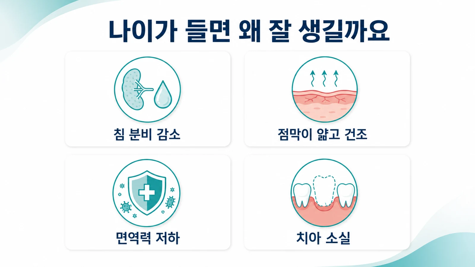 침 분비 감소, 점막이 얇고 건조, 면역력 저하, 치아 소실 등 노화에 따른 변화