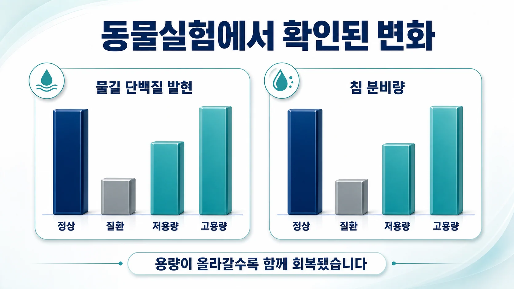 물길 단백질 발현과 침 분비량이 용량에 따라 함께 회복된 동물실험 결과 이미지