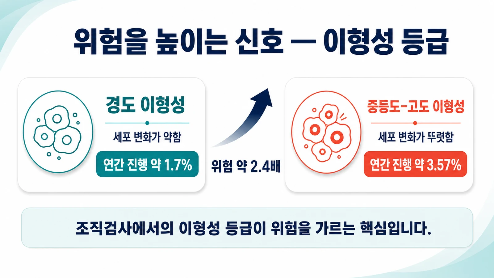 이형성 등급에 따른 위험