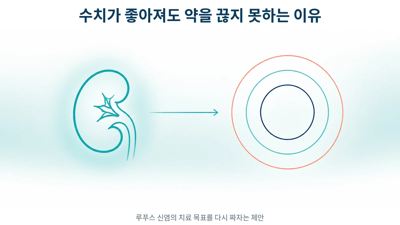 루푸스 신염(lupus nephritis, LN) 치료 목표가 바뀌는 이유