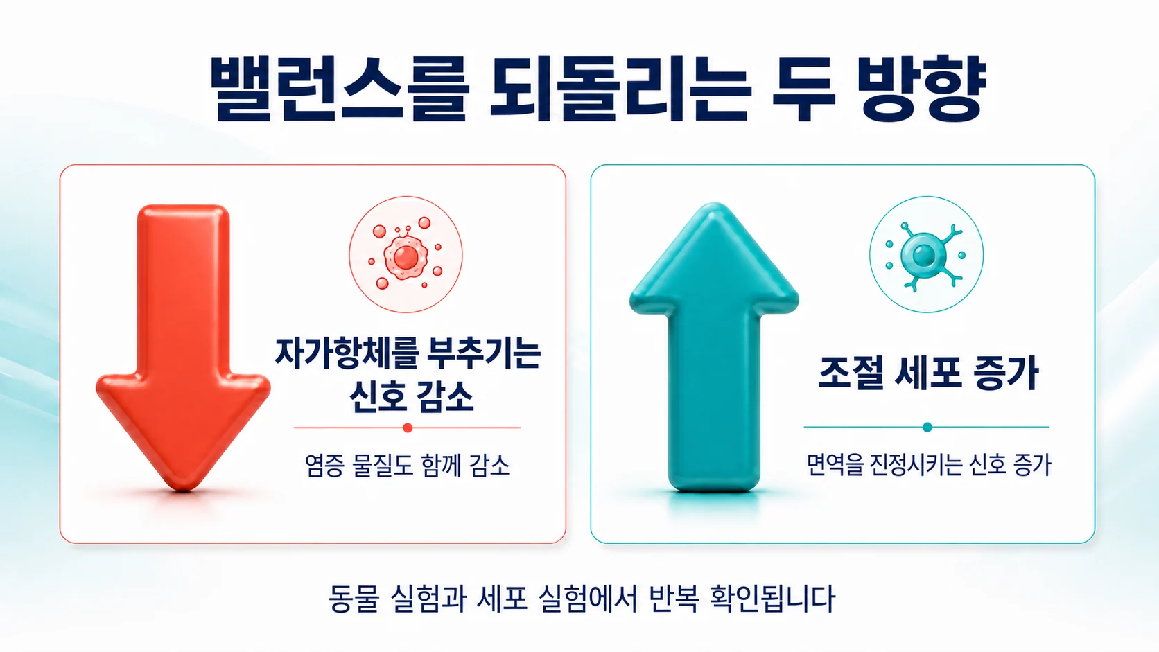 면역 밸런스를 되돌리는 두 방향을 정리한 이미지