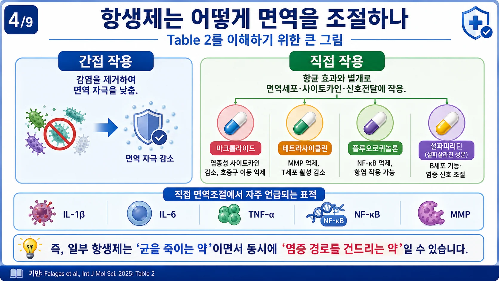 항생제는 어떻게 면역을 조절하나 — 간접 작용과 직접 작용(Table 2)