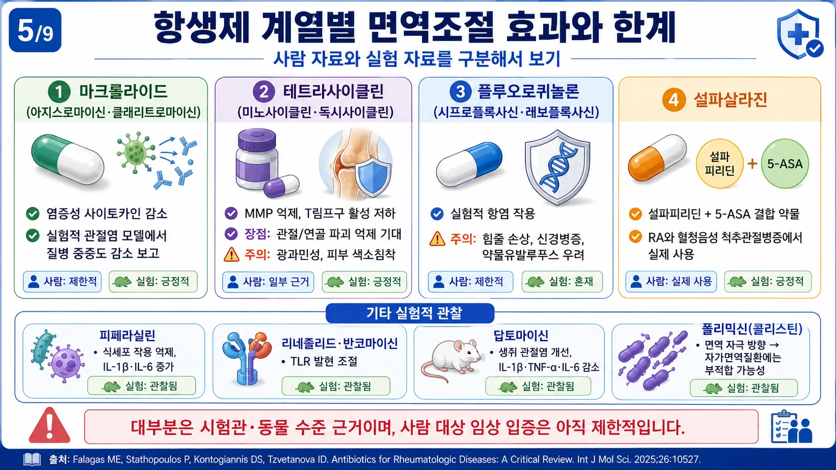 항생제 계열별 면역조절 효과와 한계 — 마크롤라이드·테트라사이클린·플루오로퀴놀론·설파살라진