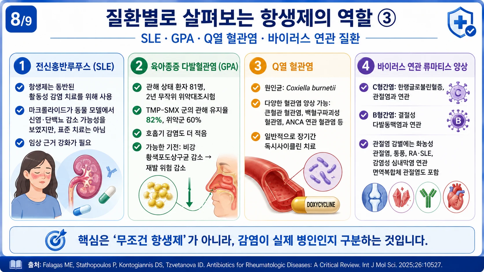 질환별로 살펴보는 항생제의 역할 ③ SLE·GPA·Q열 혈관염·바이러스 연관 질환