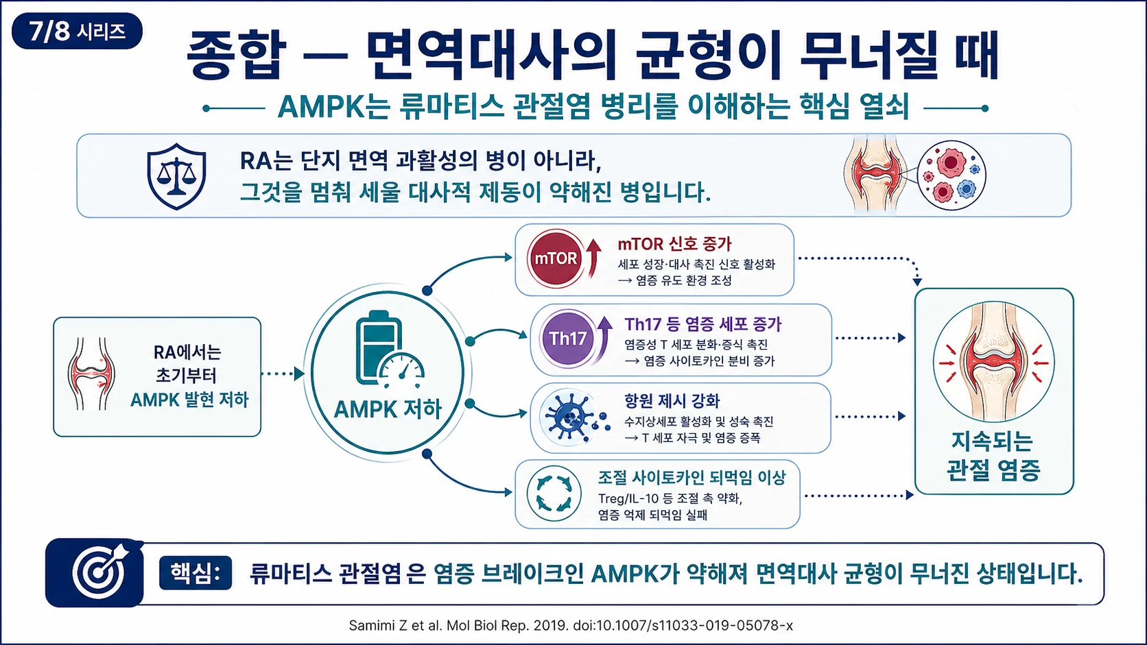 종합 — 면역대사의 균형이 무너질 때, AMPK는 병리를 이해하는 핵심 열쇠
