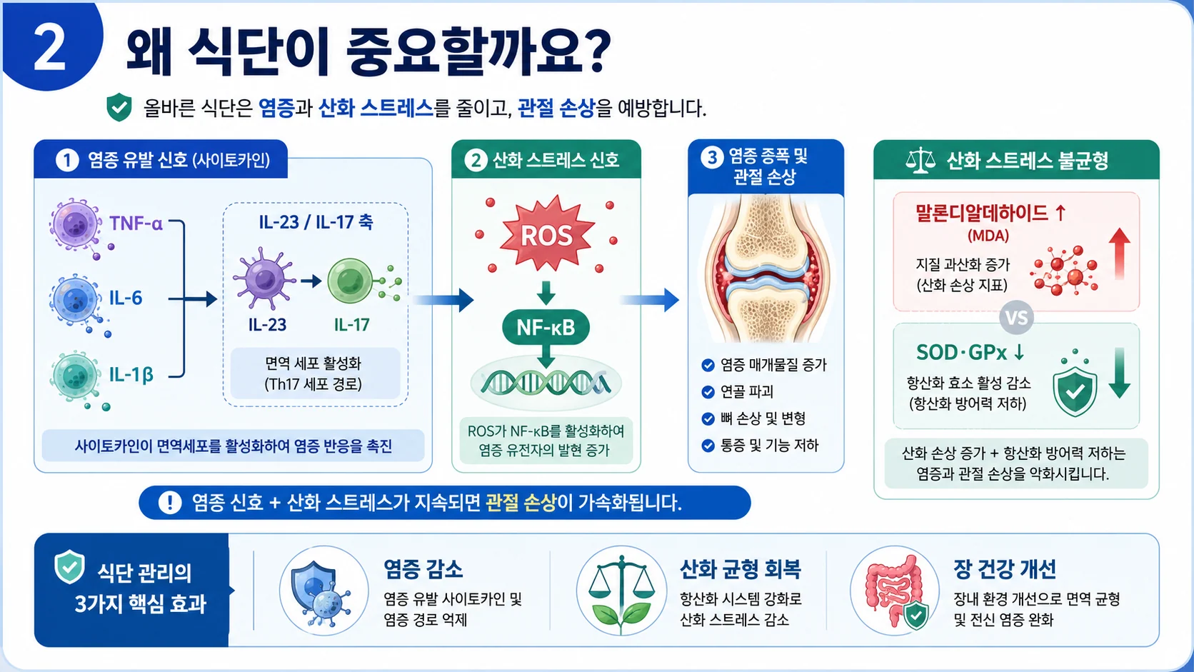 왜 식단이 중요할까요 — 염증·산화스트레스와 식이의 관계