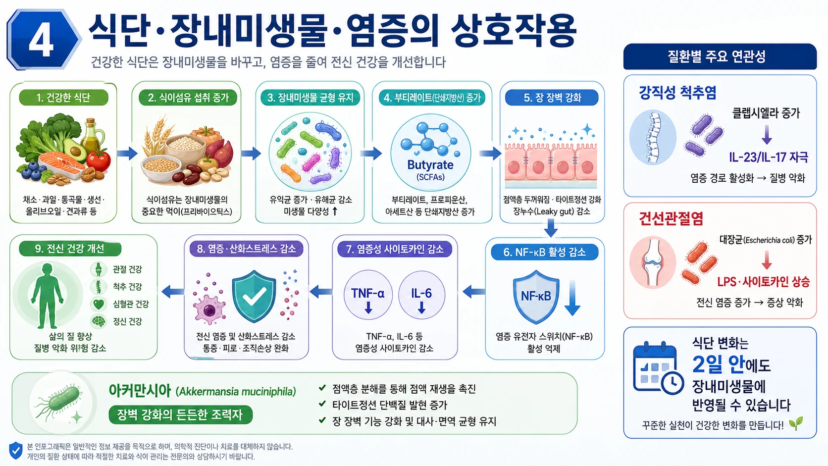 식단·장내미생물·염증의 상호작용