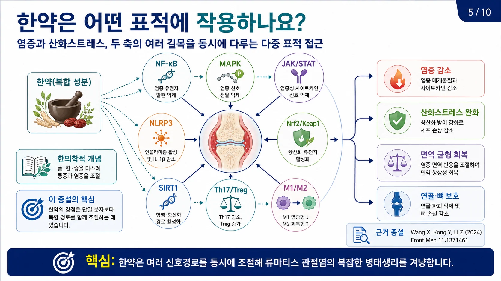 한약의 다중 표적 — 염증과 산화스트레스 두 축의 여러 길목