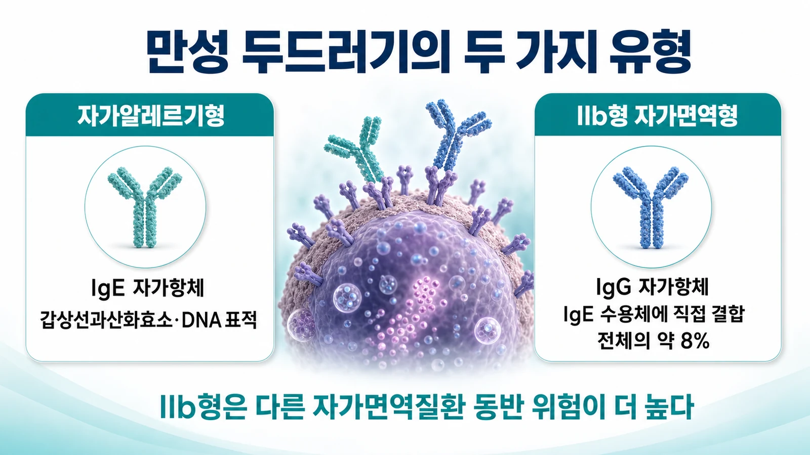 만성 두드러기의 두 유형인 자가알레르기형과 IIb형 자가면역형의 차이를 비교하는 인포그래픽
