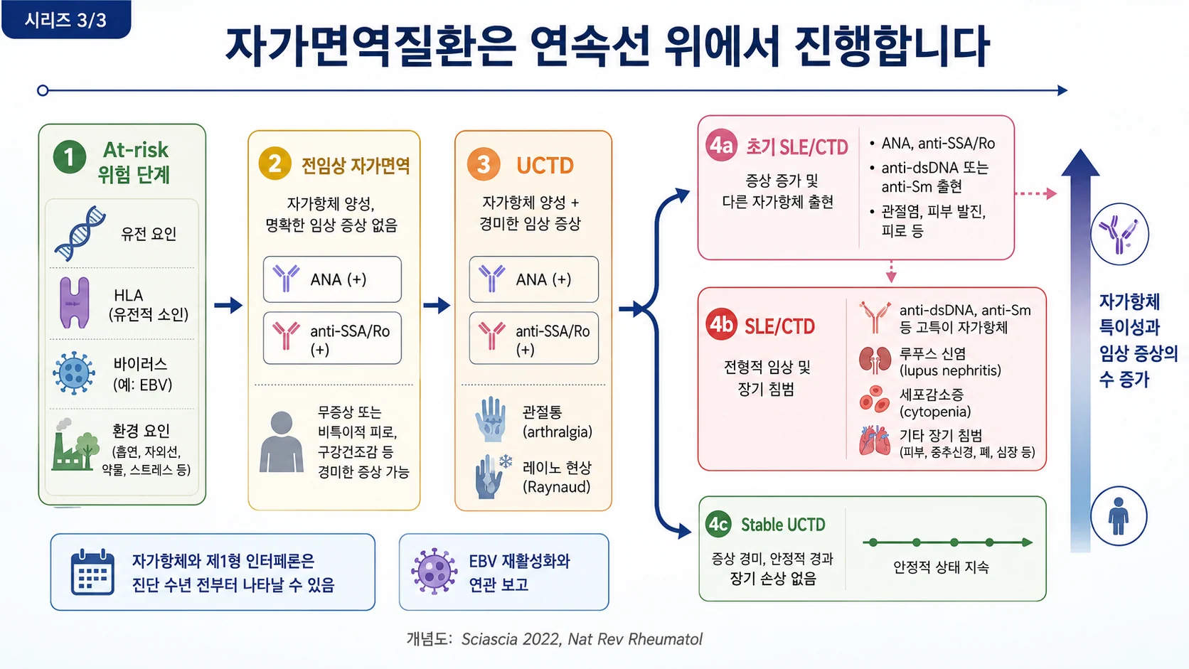 자가면역질환은 연속선 위에서 진행합니다 — 위험·전임상·UCTD·정식 질환 단계