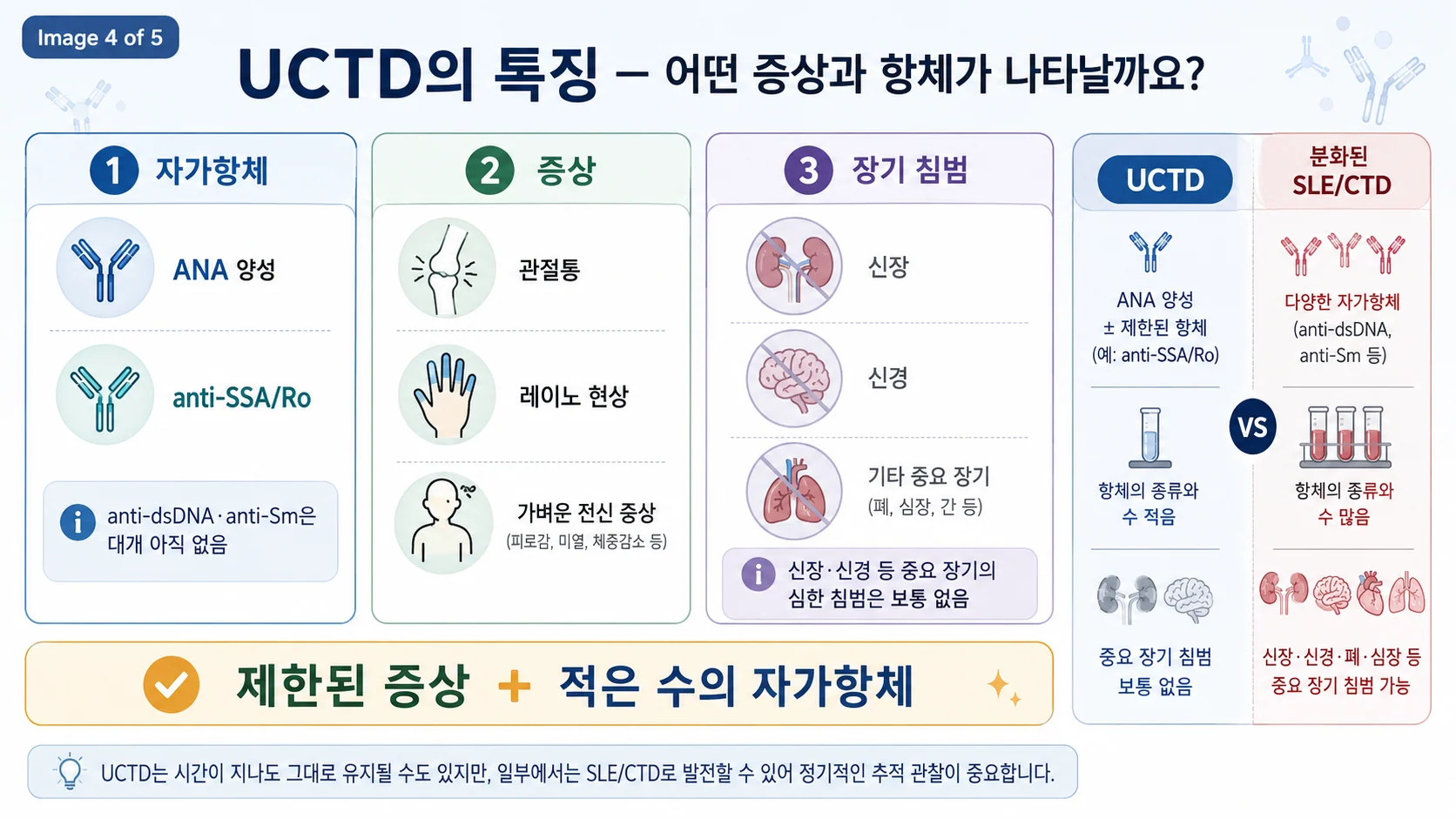 UCTD의 특징 — 관절염·광과민성·혈액 이상은 흔하고 중증 장기 침범은 드묾