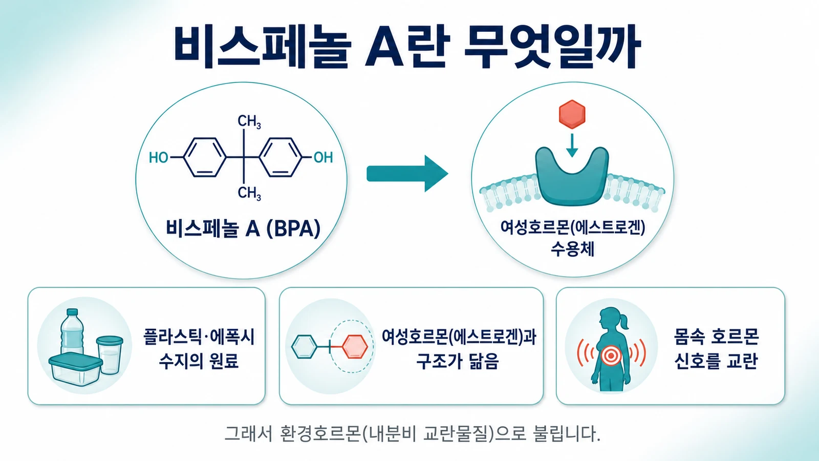 비스페놀 A란 무엇일까
