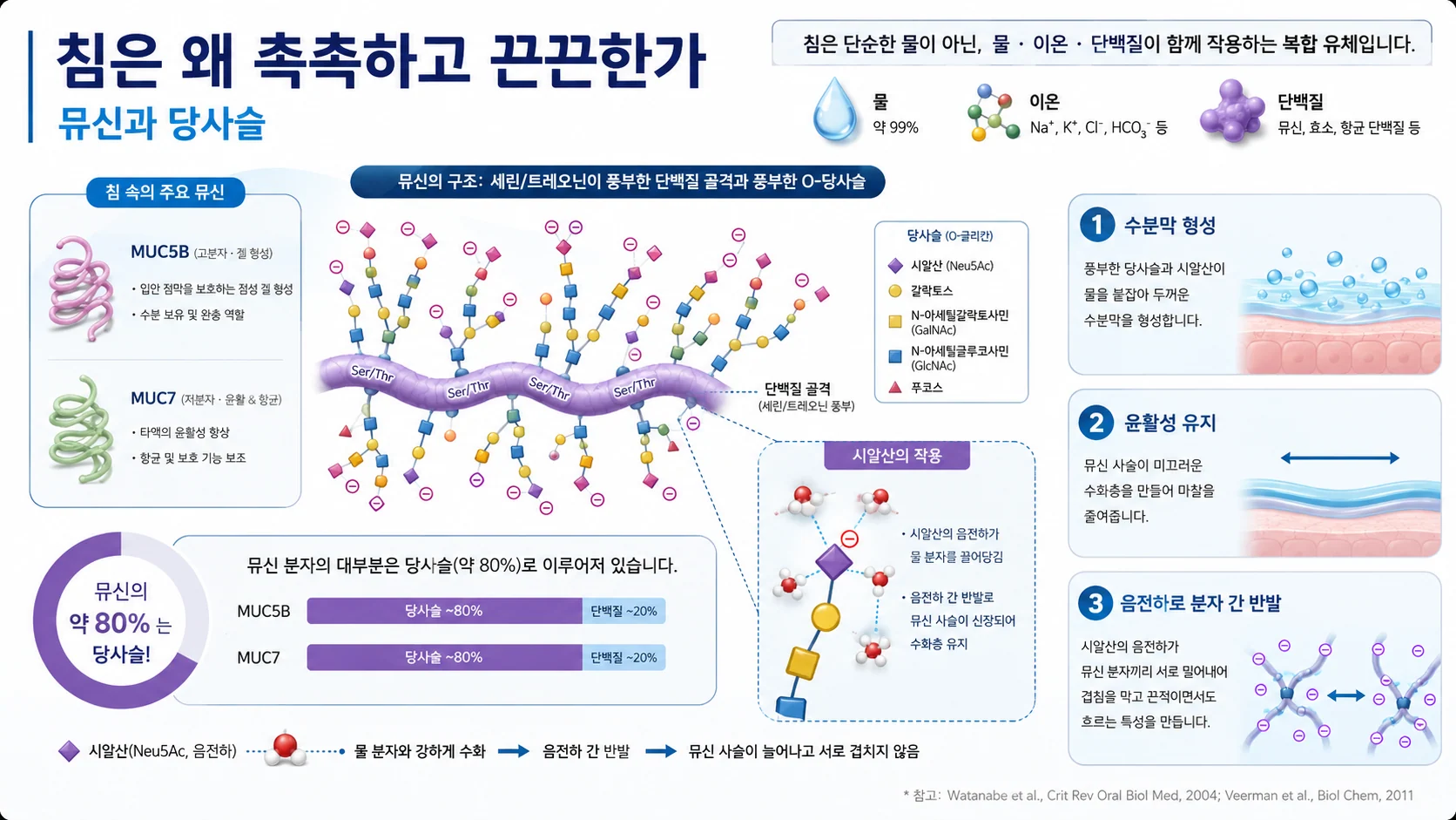침은 왜 촉촉하고 끈끈한가 — 뮤신과 음전하 당사슬의 역할