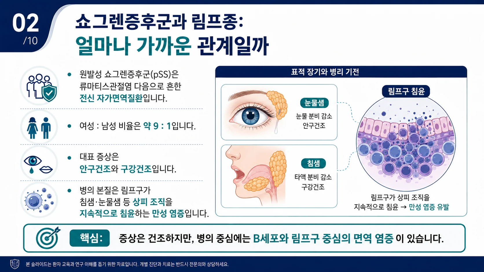 쇼그렌증후군과 림프종의 관계 — 표적 장기와 병리 기전