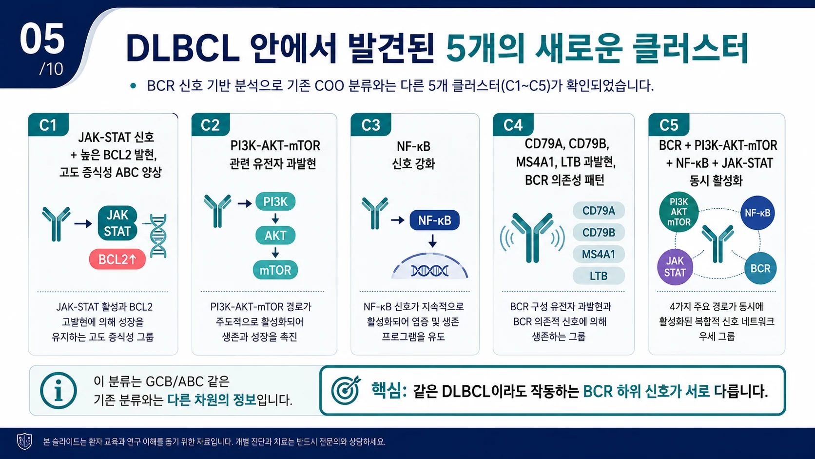 DLBCL에서 발견된 5개 신호 기반 클러스터 C1~C5