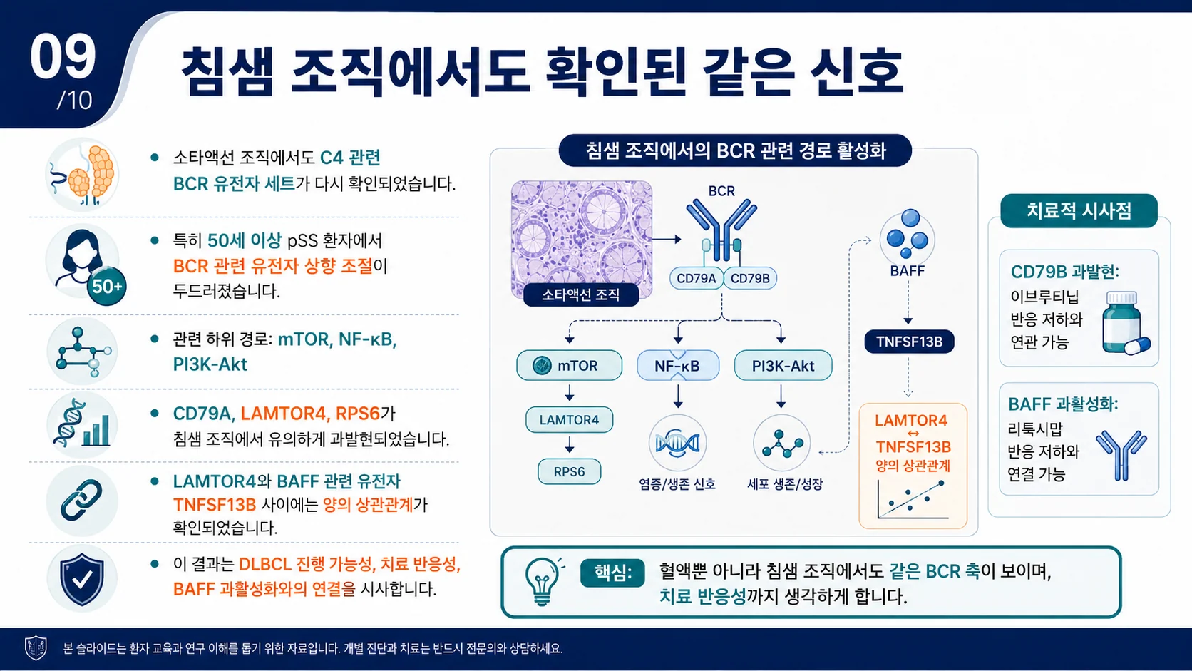 침샘 조직에서도 확인된 같은 BCR 관련 경로 활성