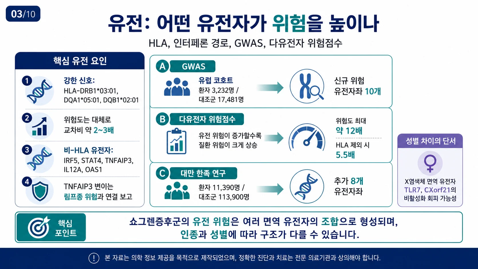 유전 — HLA·인터페론 경로, GWAS, 다유전자 위험점수