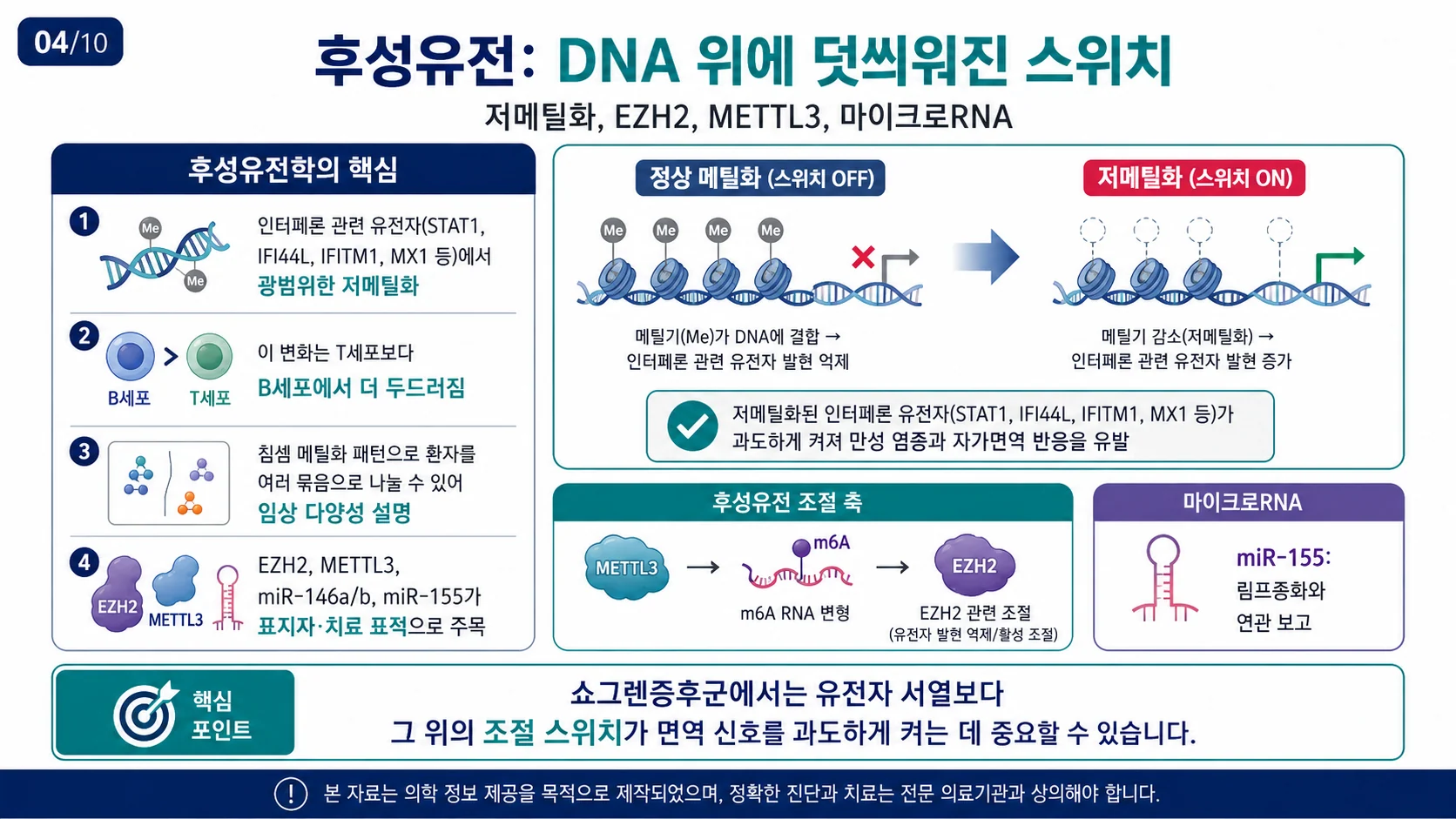 후성유전 — DNA 메틸화, EZH2·METTL3, 마이크로RNA