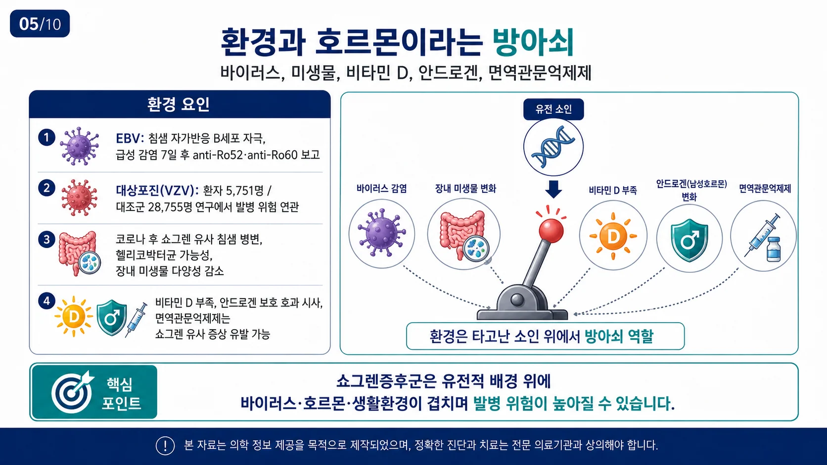 환경과 호르몬 — 바이러스·미생물·비타민 D·안드로겐
