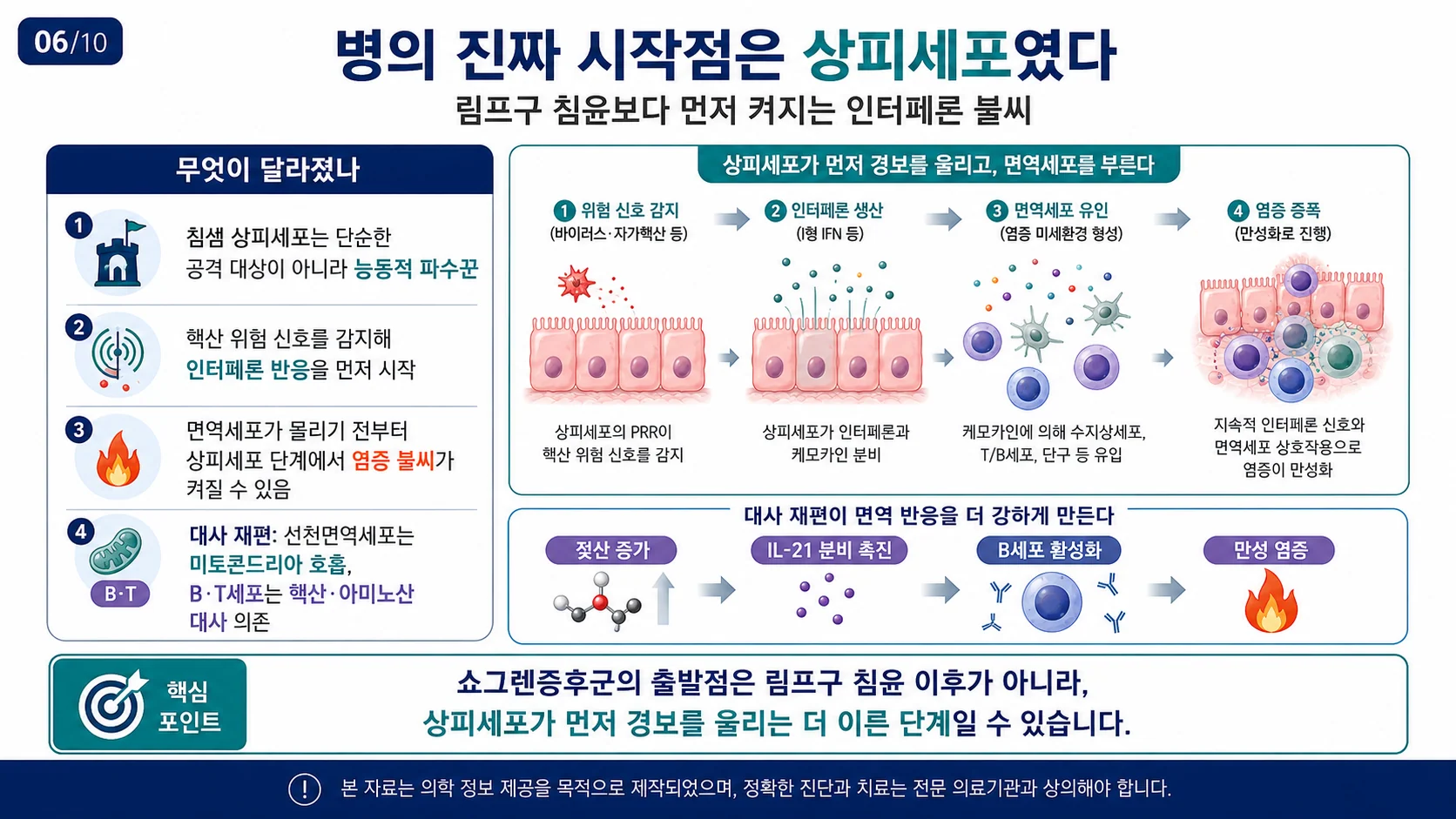 병의 시작점은 상피세포 — 인터페론 점화와 대사 변화