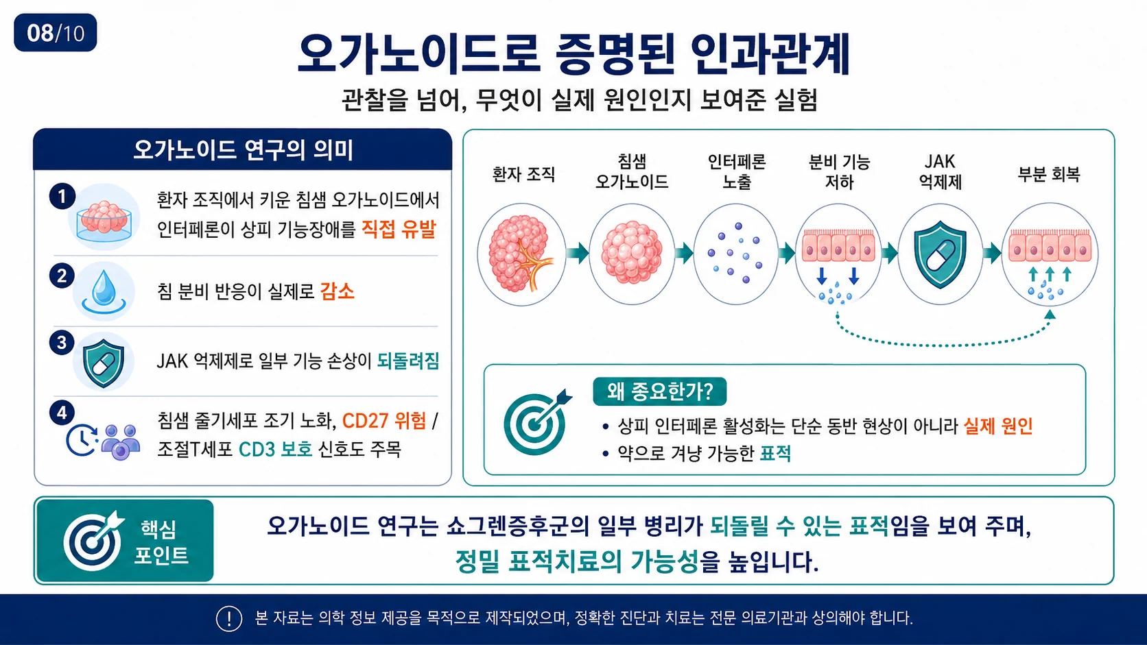 오가노이드로 증명된 인과관계 — JAK 억제로 일부 가역