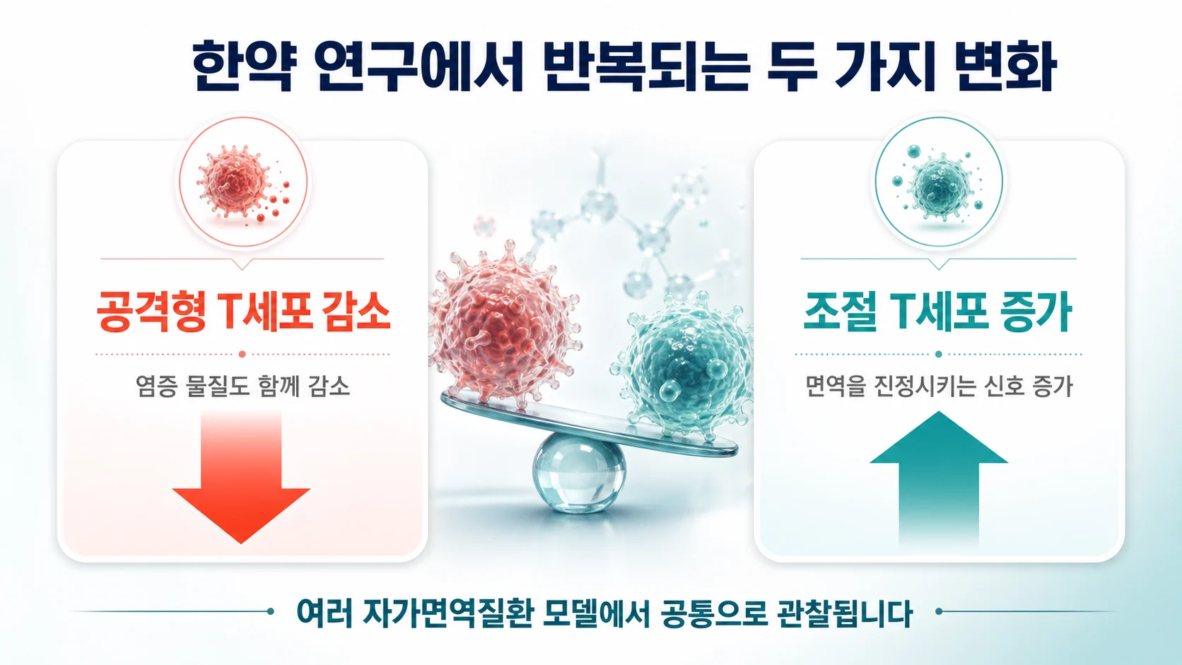 공격형 T세포는 줄고 조절 T세포는 늘어나는 변화를 정리한 이미지