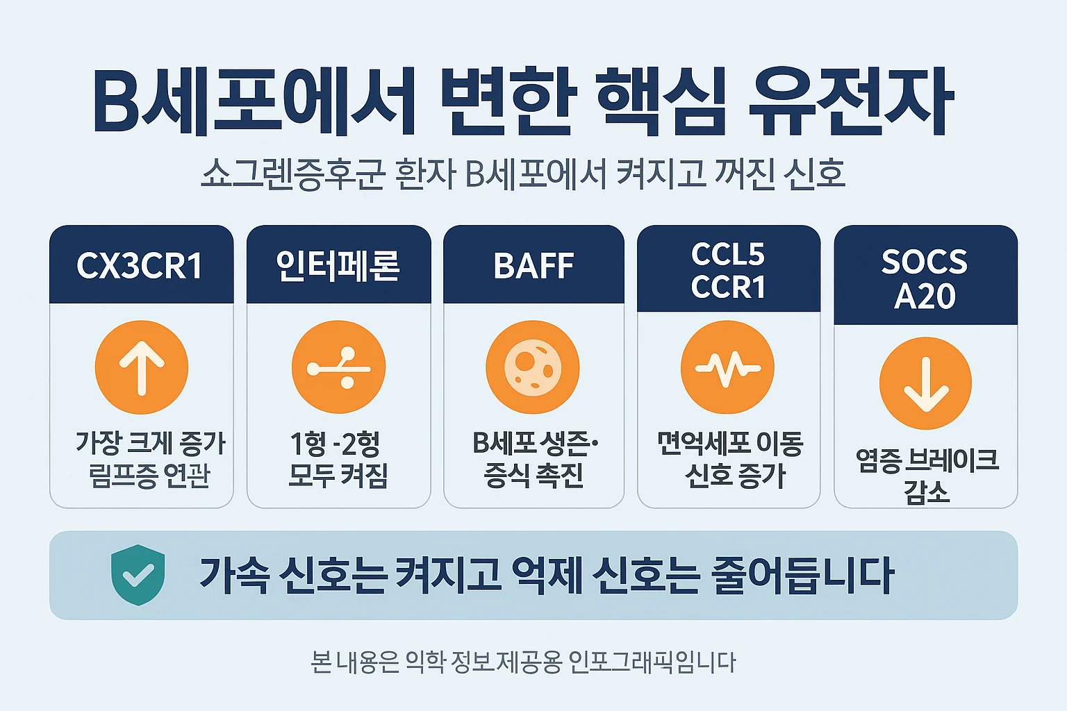 쇼그렌증후군 B세포에서 변한 핵심 유전자 — CX3CR1·인터페론·BAFF는 켜지고 SOCS·A20 브레이크는 꺼짐