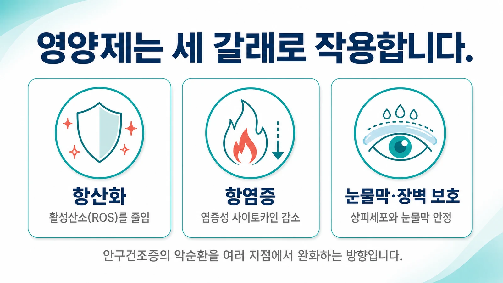 영양제는 세 갈래로 작용합니다