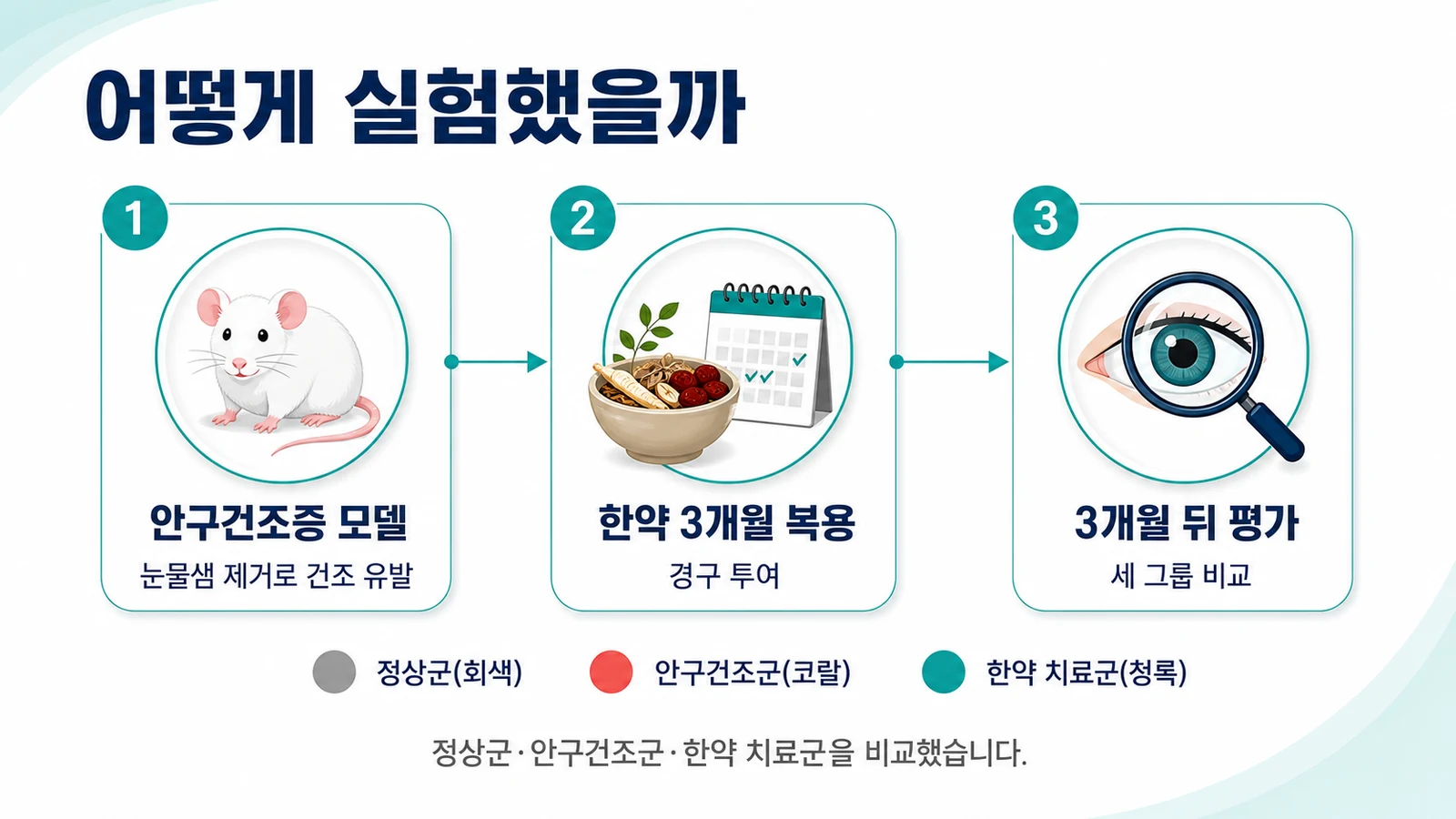 어떻게 실험했을까