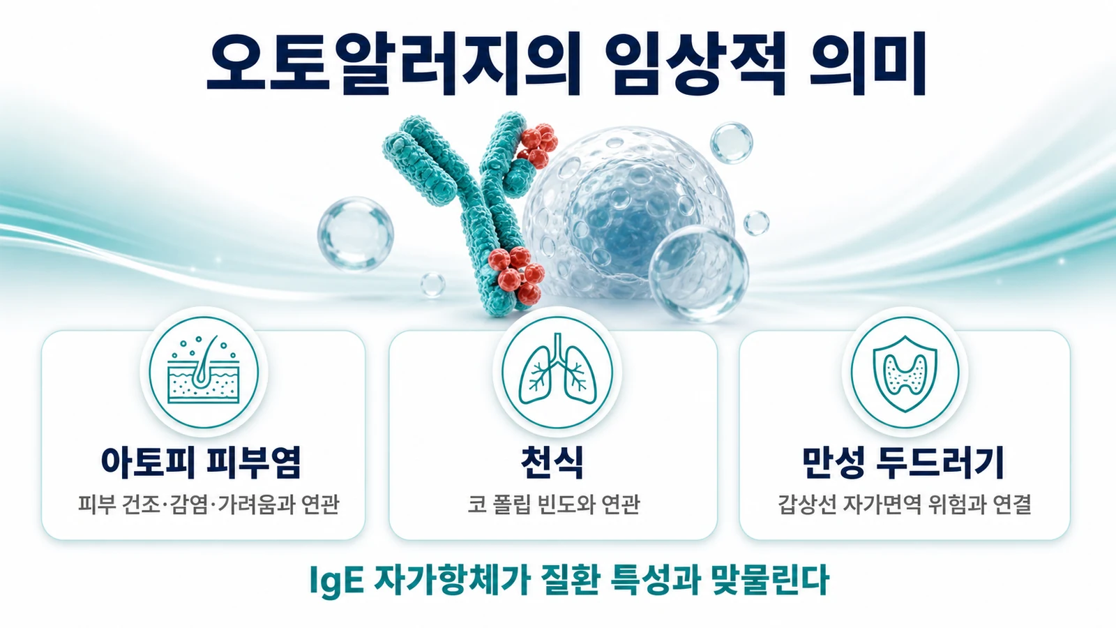 오토알러지가 아토피 피부염·천식·만성 두드러기에서 갖는 임상적 의미를 정리한 인포그래픽