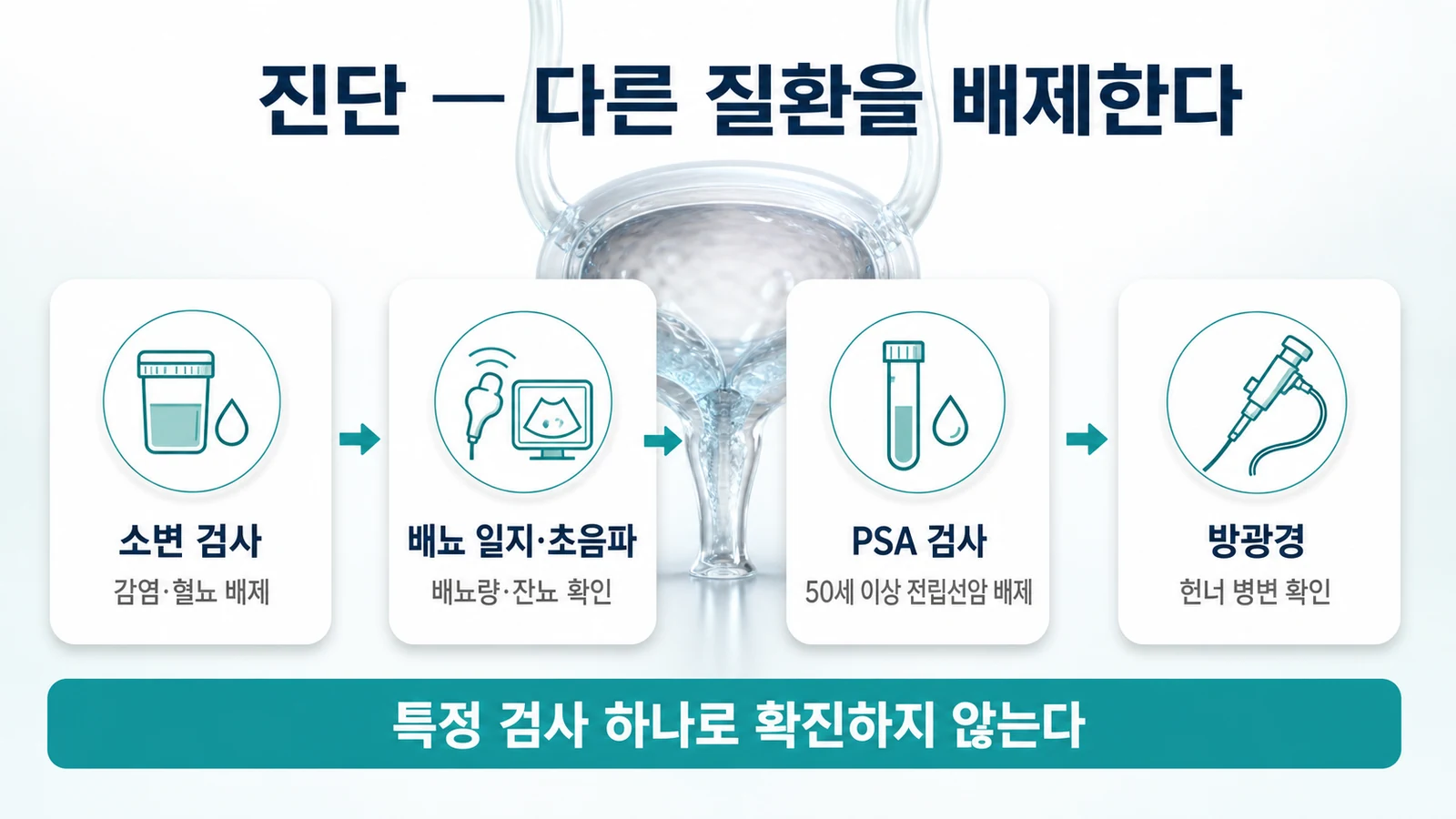 간질성 방광염의 진단 과정 — 감염·혈뇨·폐색·전립선암을 배제하는 흐름을 설명하는 인포그래픽