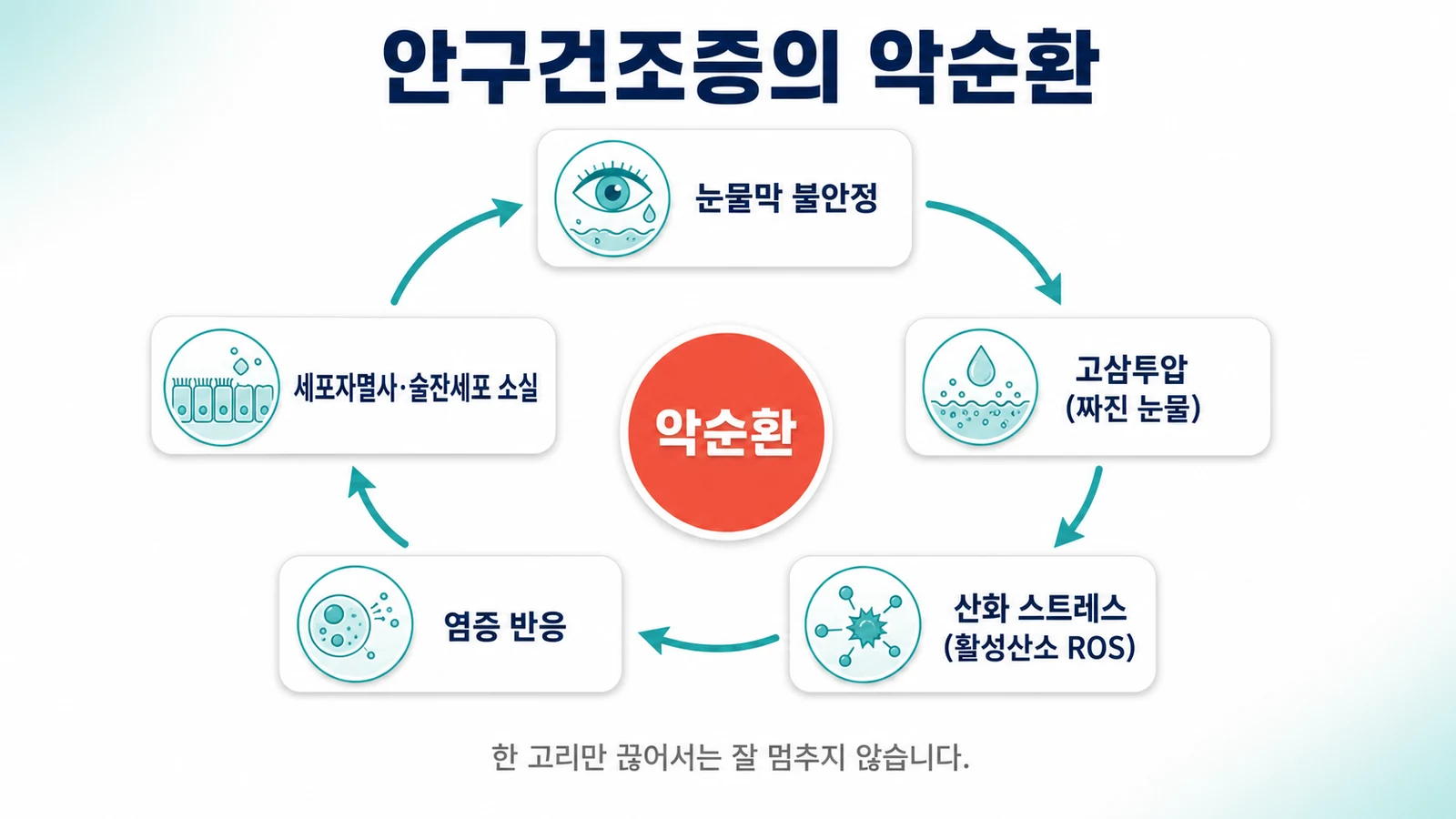 안구건조증의 악순환