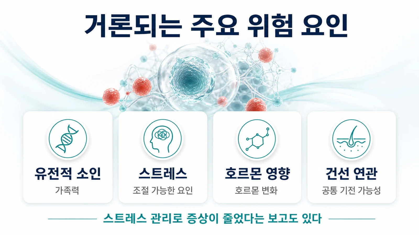 지도설의 주요 위험 요인 — 유전적 소인, 스트레스, 호르몬 영향, 건선 연관을 정리한 인포그래픽