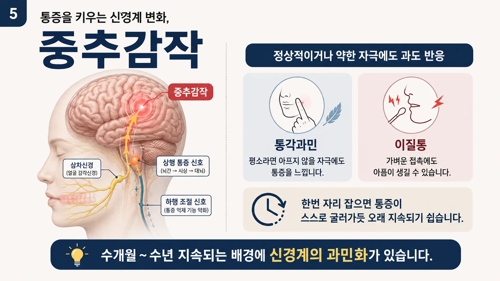 중추감작 — 정상이거나 약한 자극에도 과도하게 반응하는 통각과민과 이질통