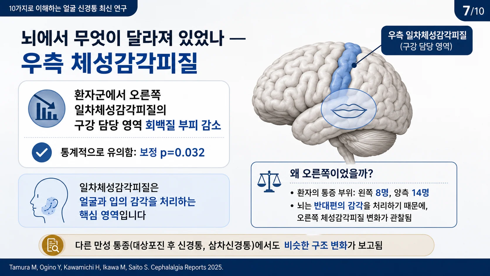 뇌에서 달라진 부분 — 우측 일차체성감각피질의 구강 담당 영역 회백질 부피 감소
