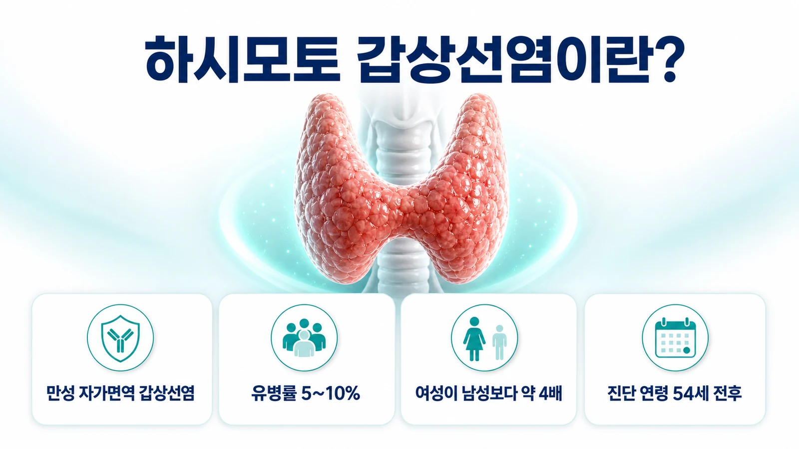 갑상선 자가면역 질환의 개요를 설명하는 의료 인포그래픽. 성인 여성이 남성보다 약 4배 많이 발생하며 유병률이 2퍼센트에서 5~10퍼센트로 증가했다는 내용