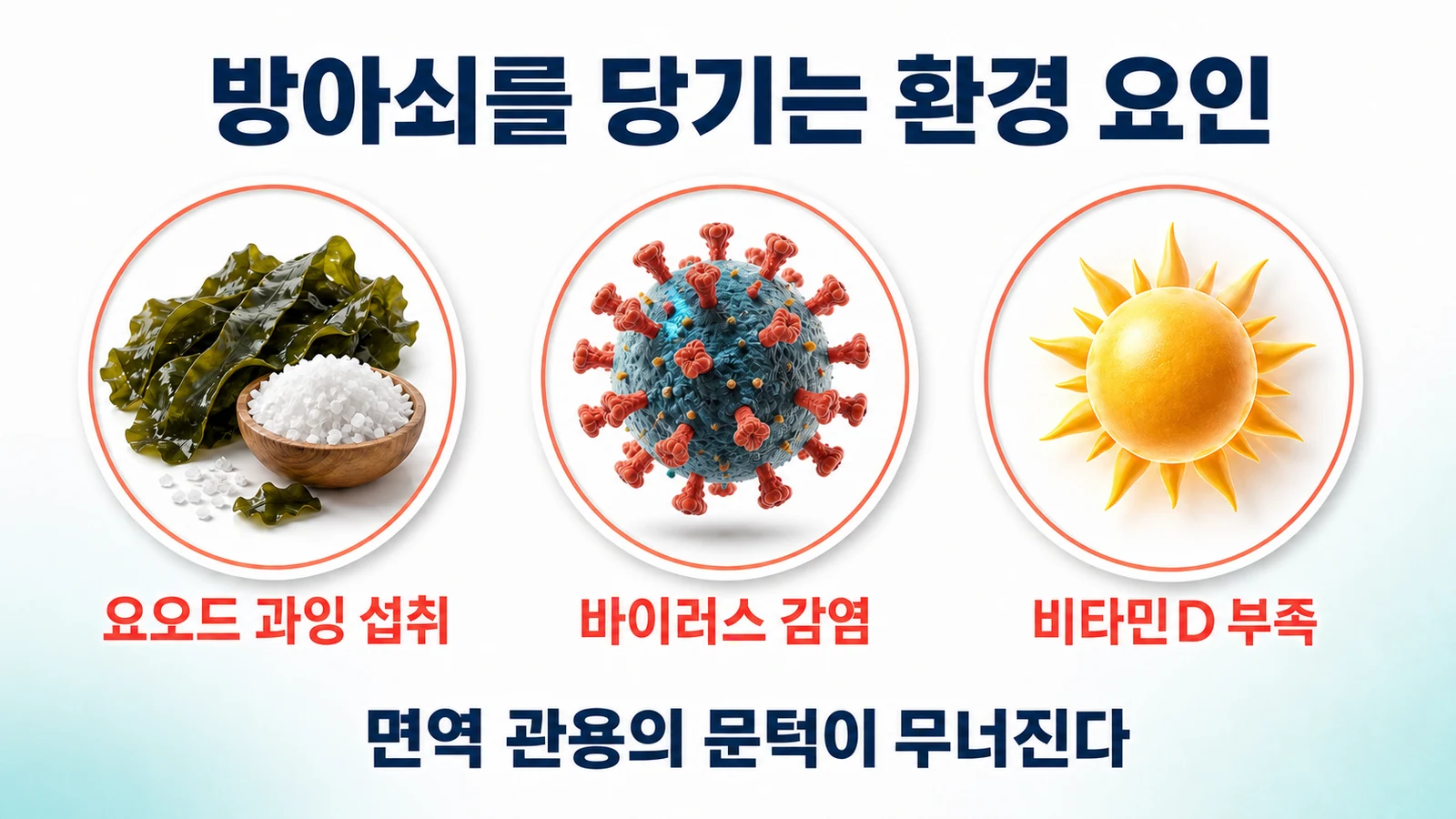 환경 방아쇠를 설명하는 인포그래픽. 요오드 과잉 섭취, 바이러스 감염, 비타민D 부족이 면역 관용을 무너뜨리는 과정