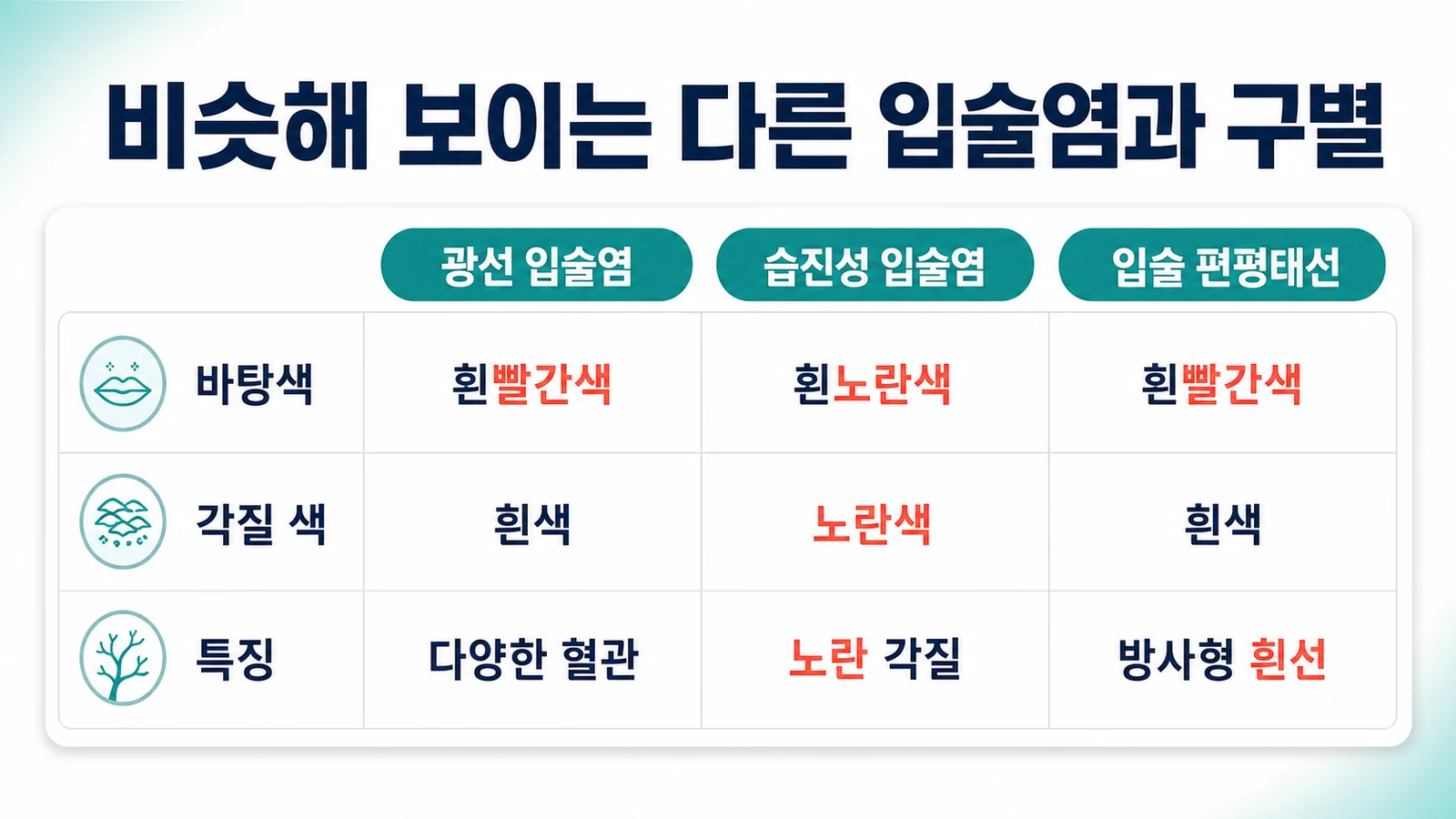 광선 입술염, 습진성 입술염, 입술 편평태선의 바탕색과 각질, 특징을 비교한 표
