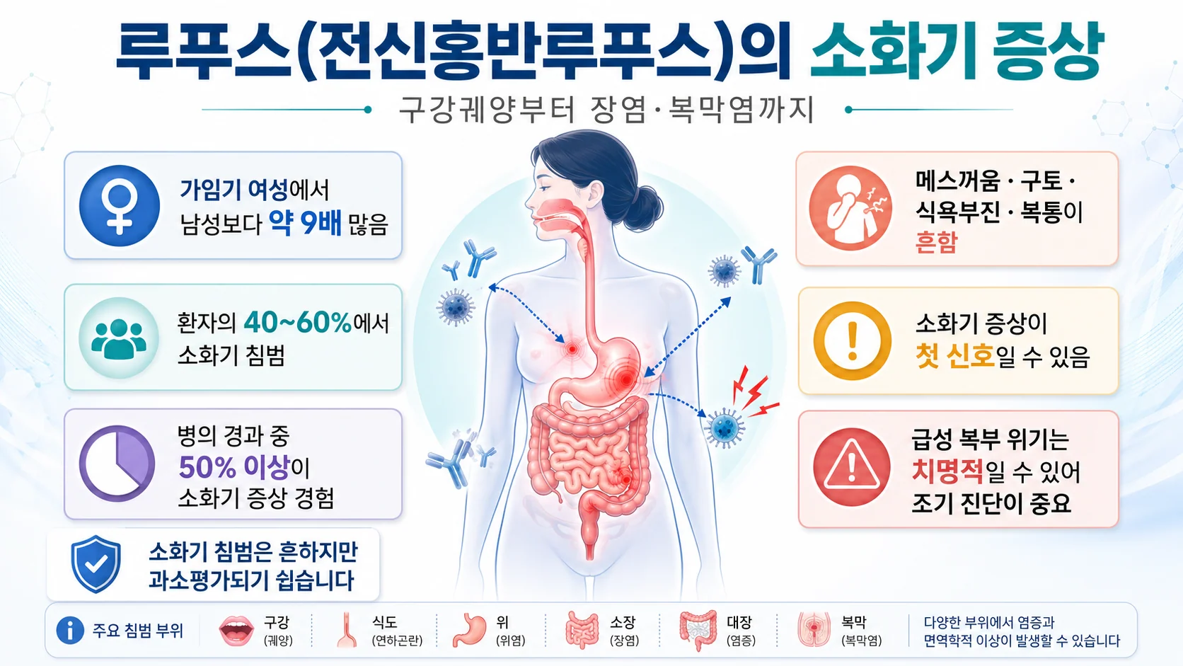 루푸스(전신홍반루푸스)의 소화기 증상 — 구강궤양부터 장염·복막염까지