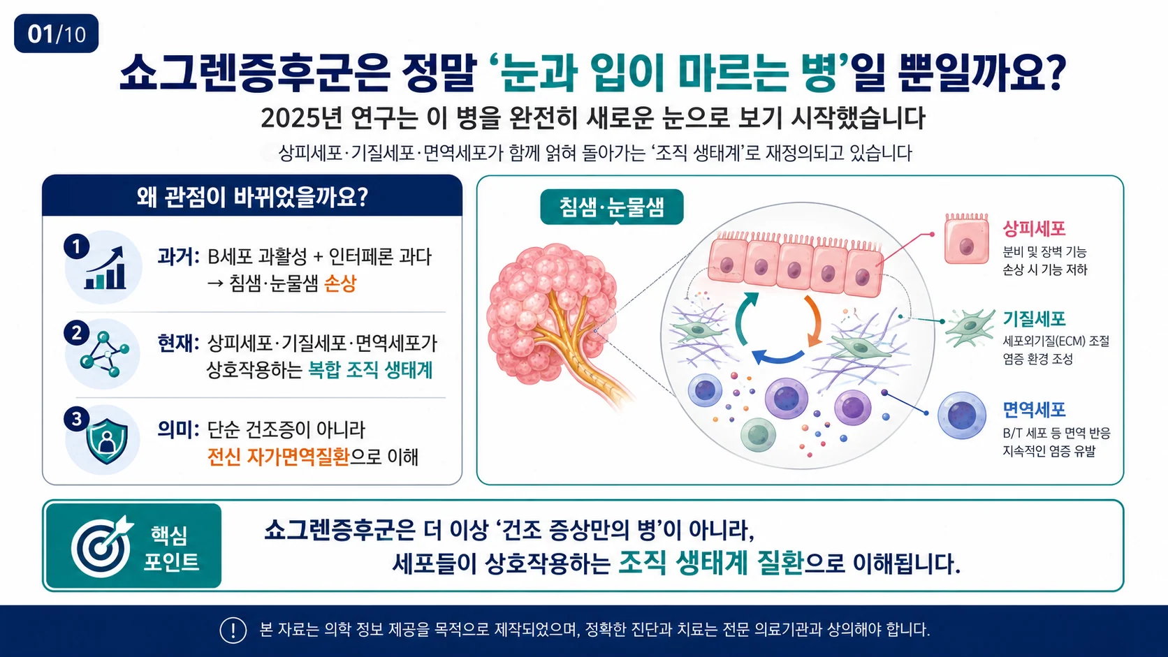 쇼그렌증후군 병리의 최근 지견 — 2025년 발병기전 리뷰로 본 새로운 이해